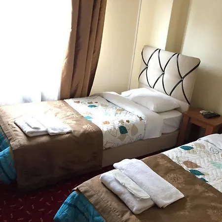 فندق باريس 2*