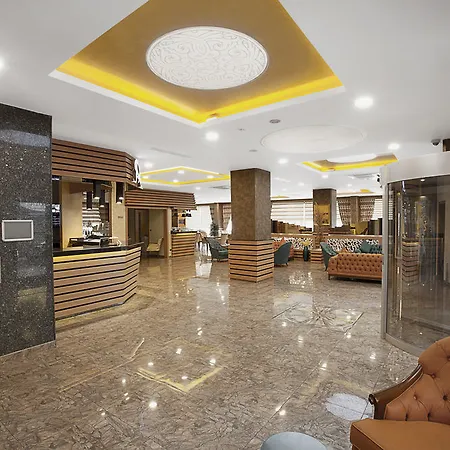 Отель The Rise Aron Business Merter 3*