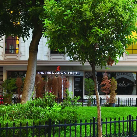 Отель The Rise Aron Business Merter 3*