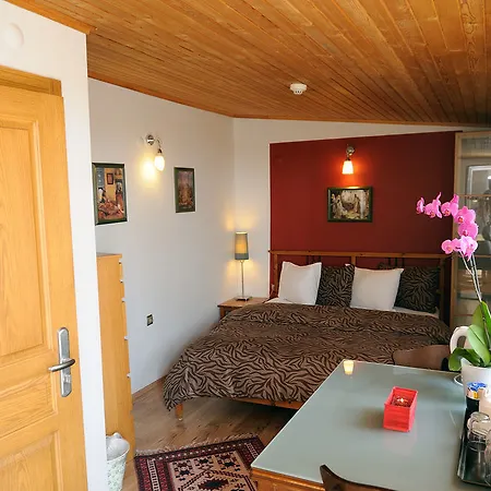 Ahmet Efendi Evi 3* Istanbul
