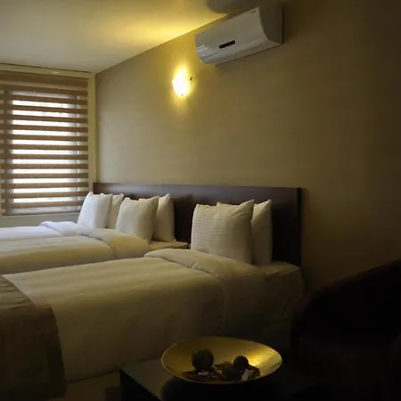 Wide Taksim Hotel Istanboel