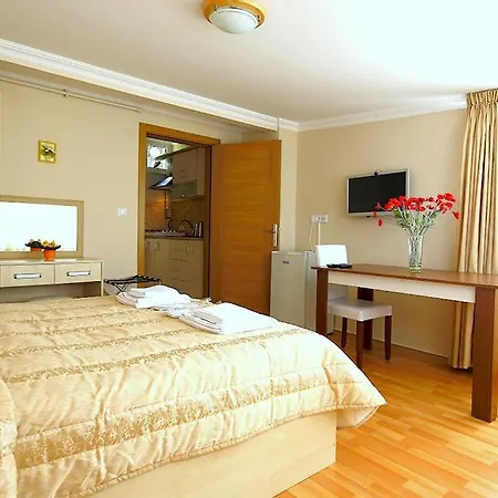 Ates Clco House 3* Istanbul