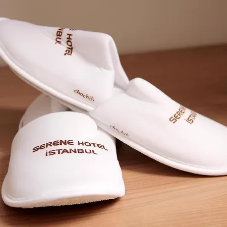 Hotel Serene Istanbul