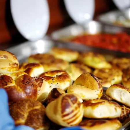 فندق Sahinler