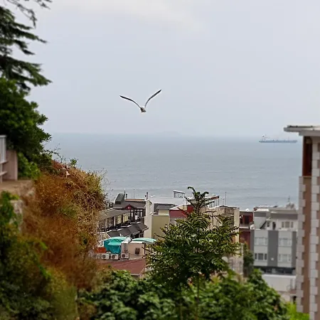 Rumours 2* Istanbul