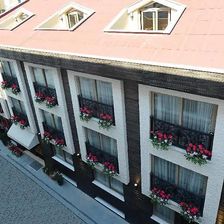 Hotel Aybar & 4*