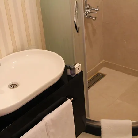 Bakirkoy Tashan Business & Airport Hotel 2*