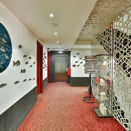 Otel Senatus - Special Class