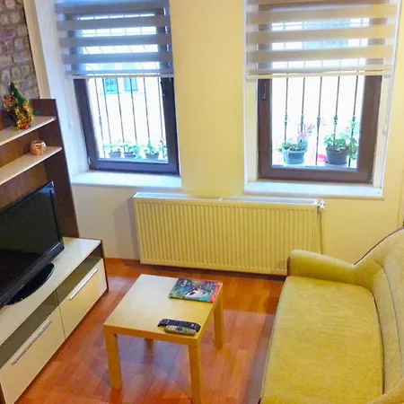 Sunflower Apartment *