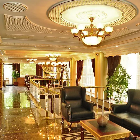Hotel Alfa