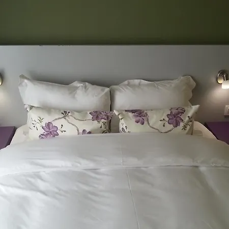 Hotel Mini Harem