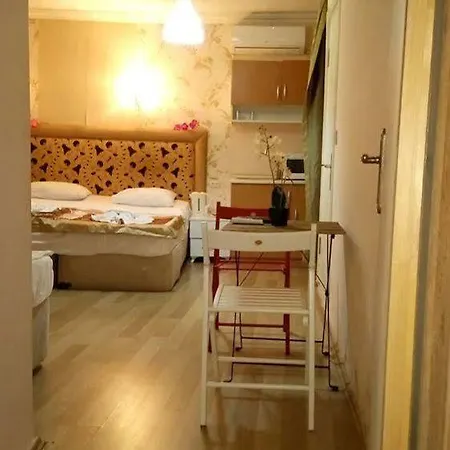 Mini House