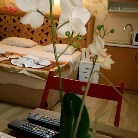 Economy hotel Mini House