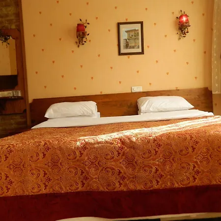 Hotel Apricot Hotel