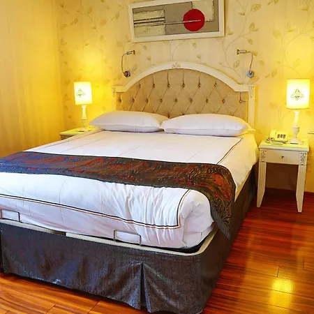 Hotel Albinas Old Istanbulská provincie