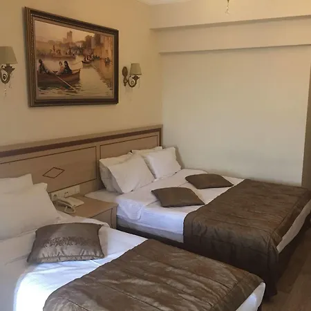 Sultan Palace Hotel Provincia di Istanbul