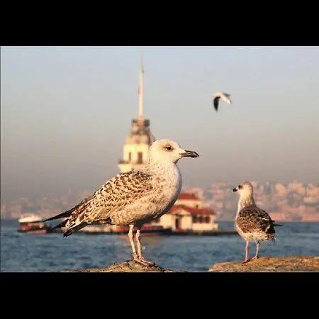 Luxury Grand Bazaar Pensión