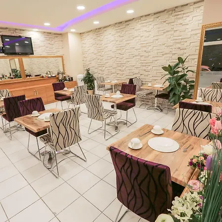 酒店 伊斯坦堡机场大酒店 伊斯坦布尔