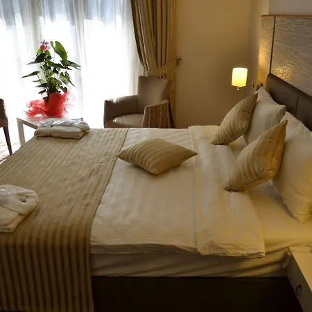 Hotel Orya 2*