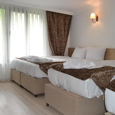 Kosher Yosef Ortakoy Hotel *