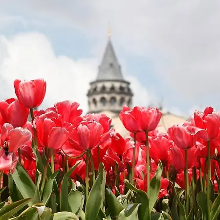 Ar Istanbul