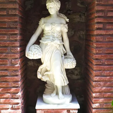 מלון Sultanahmet Palace 4*