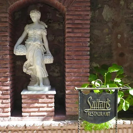 Sultanahmet Palace מלון 4*