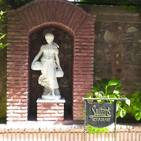 מלון Sultanahmet Palace איסטמבול