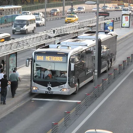 Dedem - Avcilar 3*