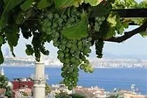 Guest house Buhara Istanbul
