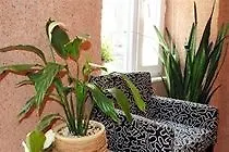 Buhara Guest house