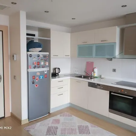 Atasehir Varyap Meridian Apartment *