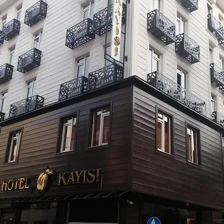 Kayisi Hotel 3*