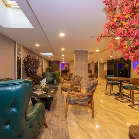 Vision Deluxe Hotel