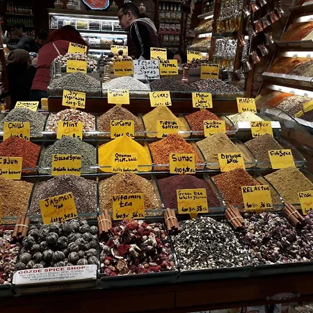 Polanin İstanbul