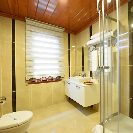 Hotel Elyka 2*
