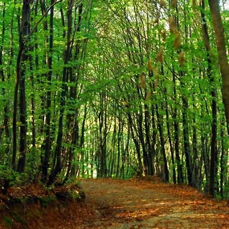 Park Polonezköy İstanbul