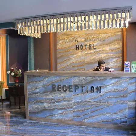 Hotel Kaya Madrid 3*