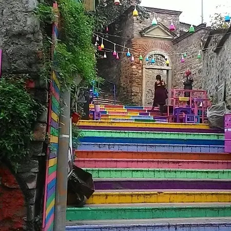 Проживание в семье Fener Sweet