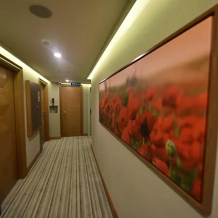 Hotel Four Seven 4*