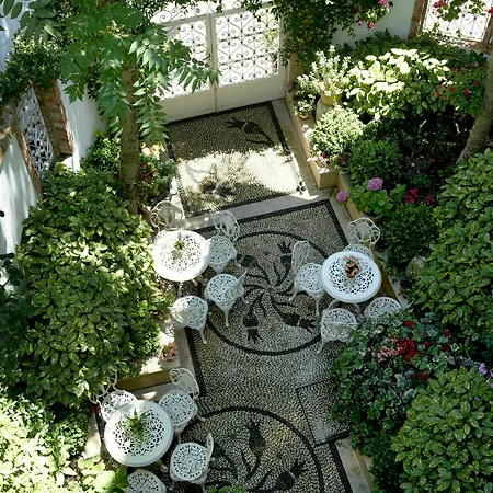 Erten İstanbul