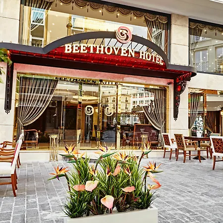 Beethoven - Special Category
