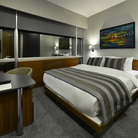 Modus 4* Стамбул