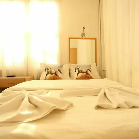 Dos Hermanos 2* Istanbul