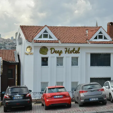 Hotel Deep 3*