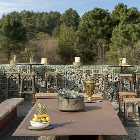 Park By Radisson Airport Odayeri Hotel 4*