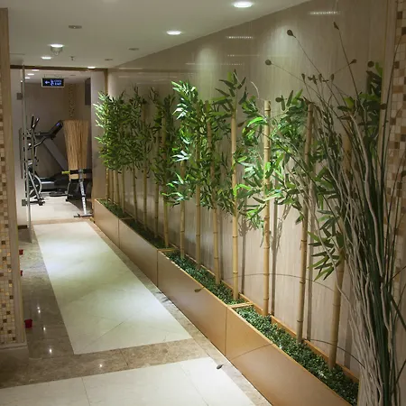 Hotel Eurostars Old 4*