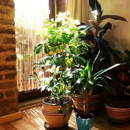 Apartament Kunterbunt Aparts *