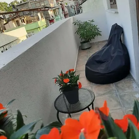 Zeytin Agaci Bed & Breakfast Istanbul