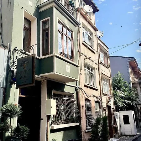 Zeytin Agaci 3*